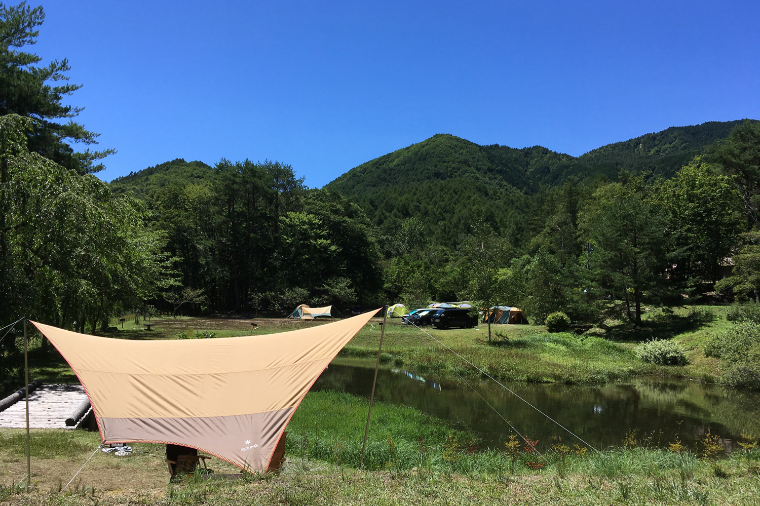 銀河もみじキャンプ場　くじら座