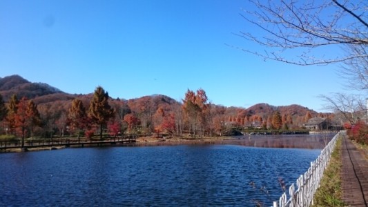 紅葉の湖　軽井沢