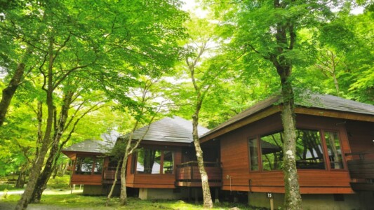 芦ノ湖キャンプ村