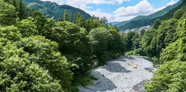 氷川キャンプ場