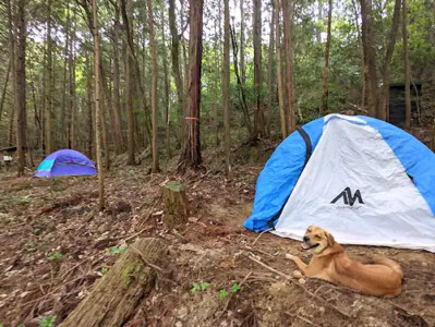 みのむしキャンプ場