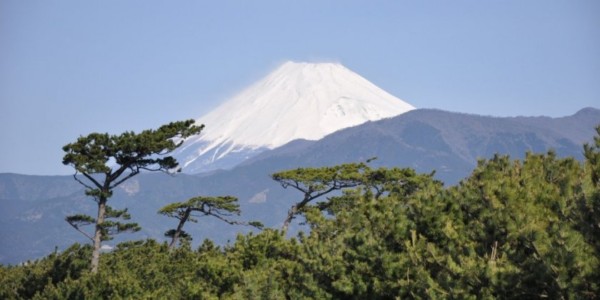 沼津　キャンプ場