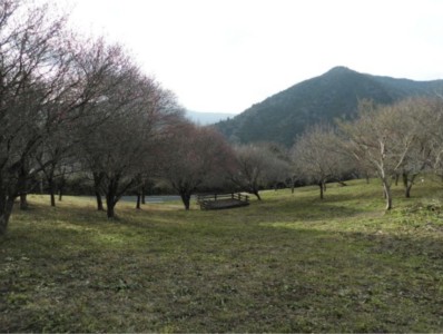 大洲家族旅行村オートキャンプ場