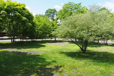 ソロキャンプ‗おすすめキャンプ場‗軽井沢スウィートグラス