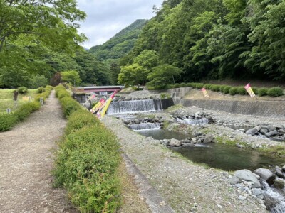 ウエストリバーオートキャンプ場の場内の川