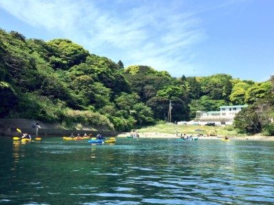 勝浦まんぼう