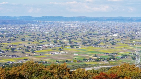 砺波平野の散居村