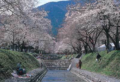 岐阜　キャンプ場