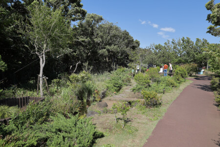 京急油壺温泉キャンプパーク　ビオトープ