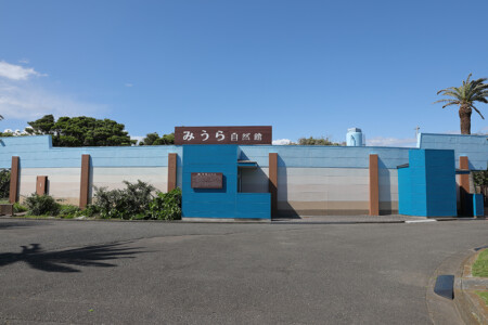 京急油壺温泉キャンプパーク　みうら自然館