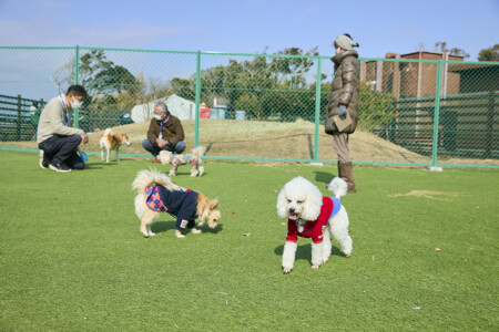 京急油壺温泉キャンプパーク　ドッグラン