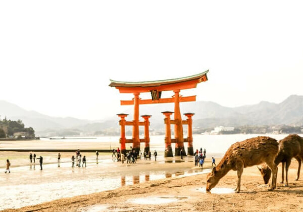 アウトドアショップ　広島