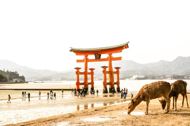 アウトドアショップ　広島