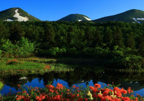 青森県