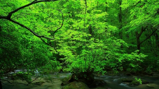 青森県