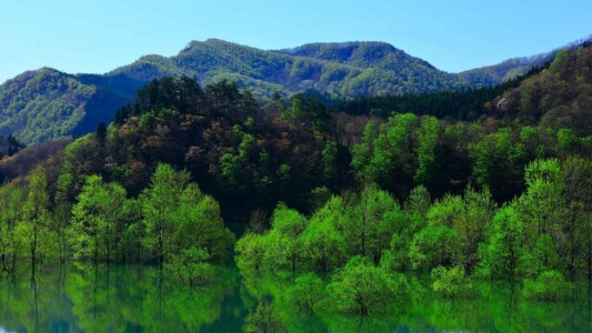 岩手県