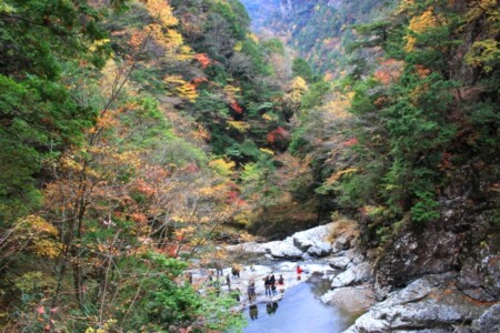 天川村エリアの奈良県キャンプ