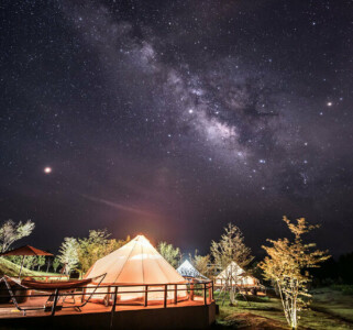 くじゅう花公園 camping resort 花と星