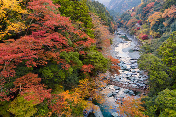 徳島県　グランピング