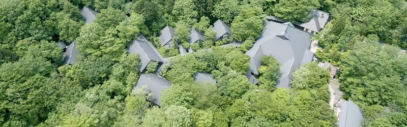 温泉山荘だいこんの花