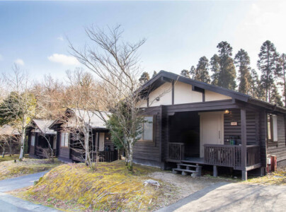 小田温泉 花心