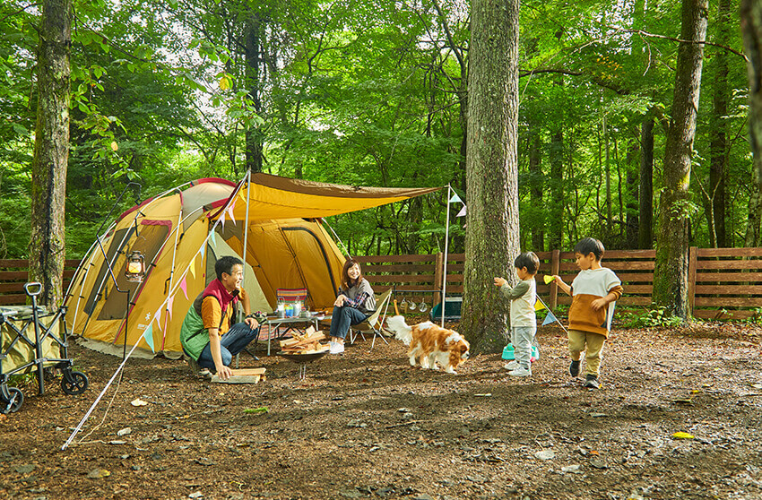 ドッグラン　キャンプ場　山梨　2023年最新版！山梨のおすすめのドッグラン付きキャンプ場8選