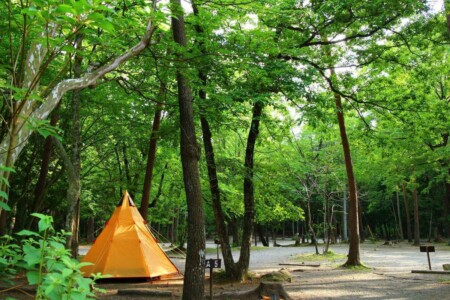 小淵沢　キャンプ場　白州・尾白の森名水公園べるが　尾白の森キャンプ場