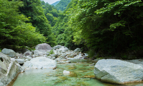 八ヶ岳キャンプ場