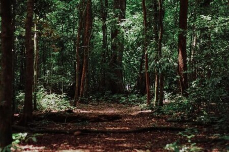 登山アームカバー　つける理由　虫さされ対策