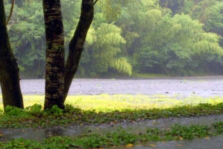 雨キャンプ キャンセル