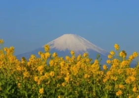 神奈川県