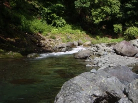 神奈川県