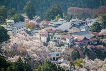 奈良　コテージ