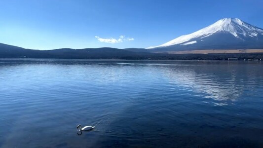 山中湖　コテージ