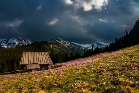 山の風景