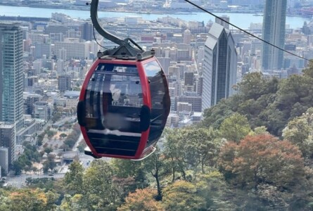 ロープウェイで登れる山