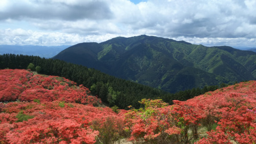 金剛山 