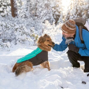 モンベル　犬　グッズ