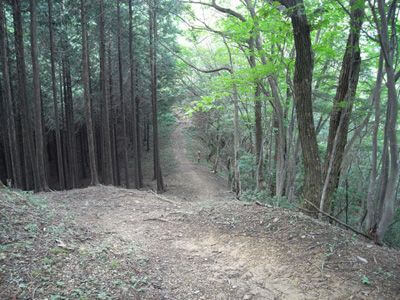 関東の中級者向け日帰り登山