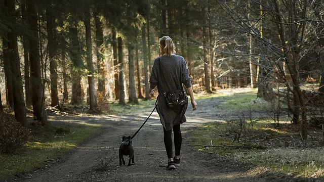 犬のお散歩バッグ