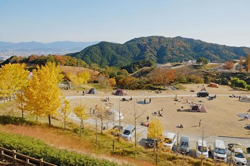 キャンプでの花粉対策