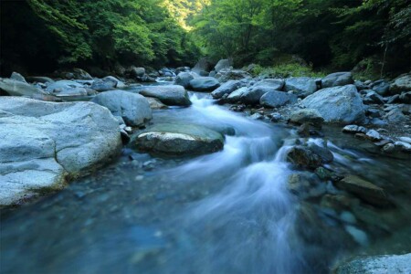 水風呂 遊泳確認