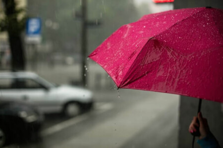 晴雨兼用傘