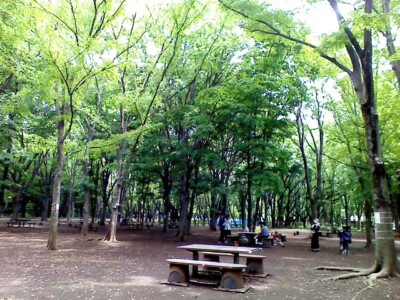 光が丘公園バーベキュー広場