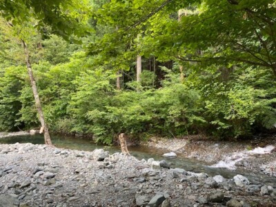 ニュー田代オートキャンプ場