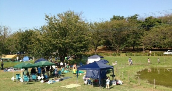 大泉さくら運動公園