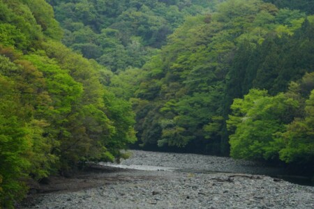 道志渓谷キャンプ場