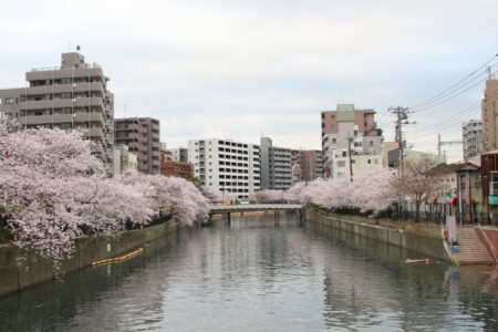 関東SUP