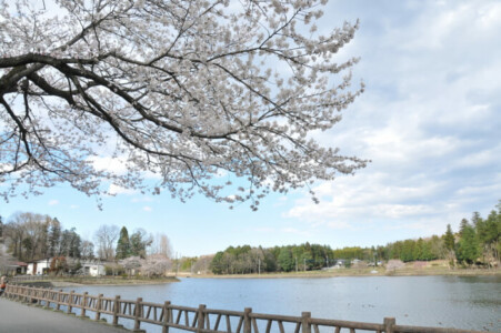 栃木県　バーベキュー場　唐桶宗山公園