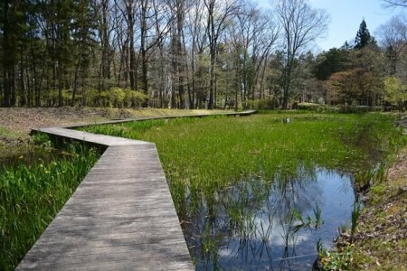 栃木県　バーベキュー場　日光だいや川公園